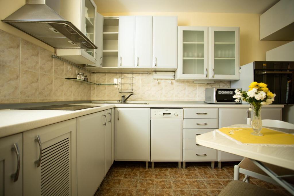 Kuchyň nebo kuchyňský kout v ubytování Garni Hotel President de Luxe