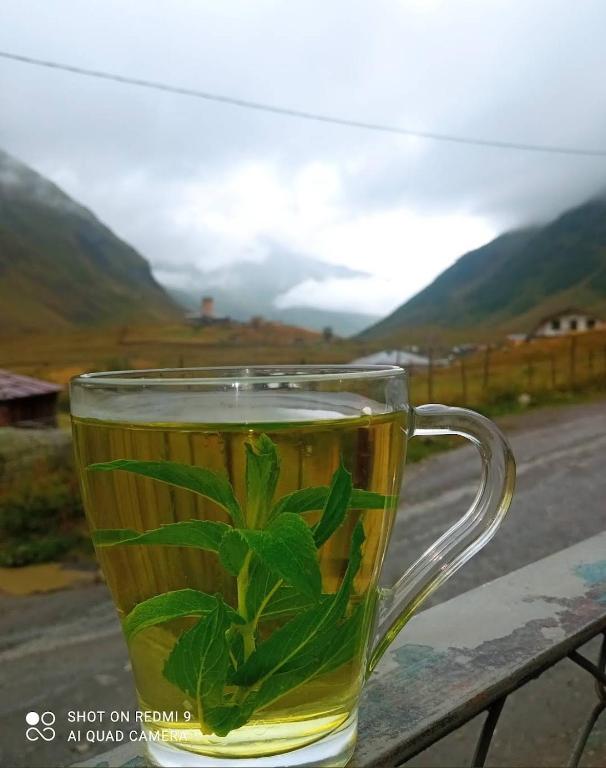 Nespecifikovaný výhled na hory nebo výhled na hory při pohledu z penzionu