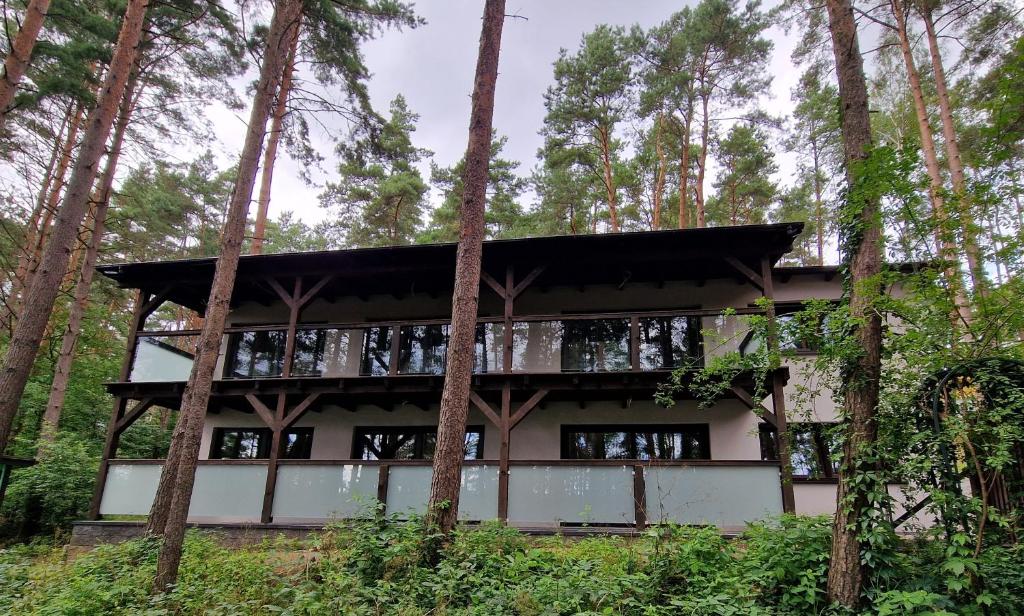 a house in the woods with trees at Apartament Sosny 2,1 nad jeziorem OTW Borówno Wielkie in Skarszewy