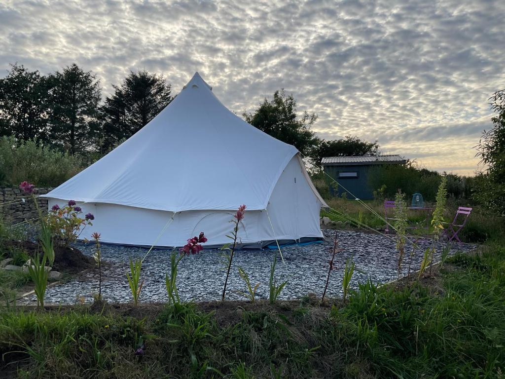 a white tent in the middle of a field at Glamping Meadow Bell Tent in Stithians