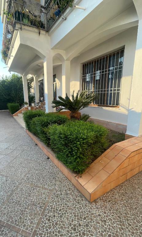 Zahrada ubytování Las Palmas Guesthouse
