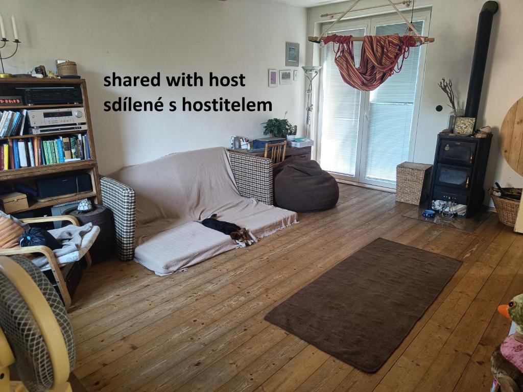Posezení v ubytování EN Homestay with private top floor, 3 bedrooms, bathroom, kitchenette, host stays downstairs with a cat and 2 small dogs --- CS Soukromé horní patro, 3 ložnice, koupelna, vařič, balkon - Přízemí sdílené s hostitelem, kočkou a 2 malými psy