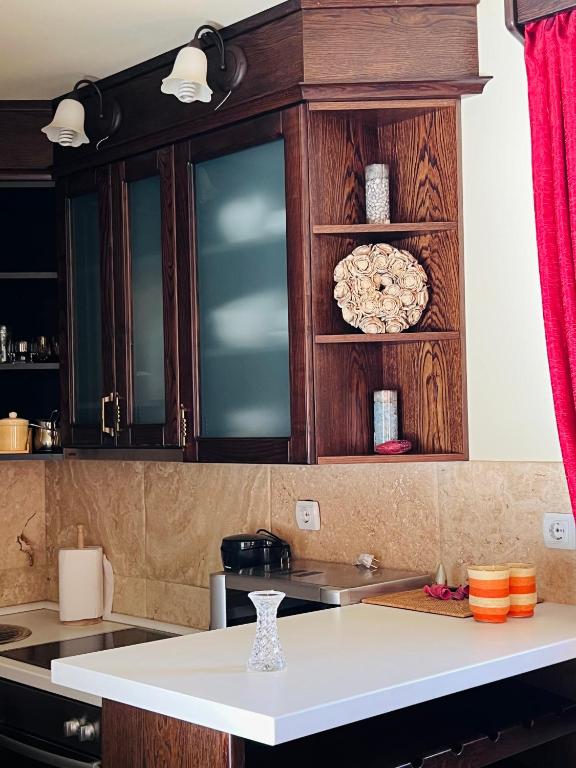 Kuchyň nebo kuchyňský kout v ubytování Vila Milena