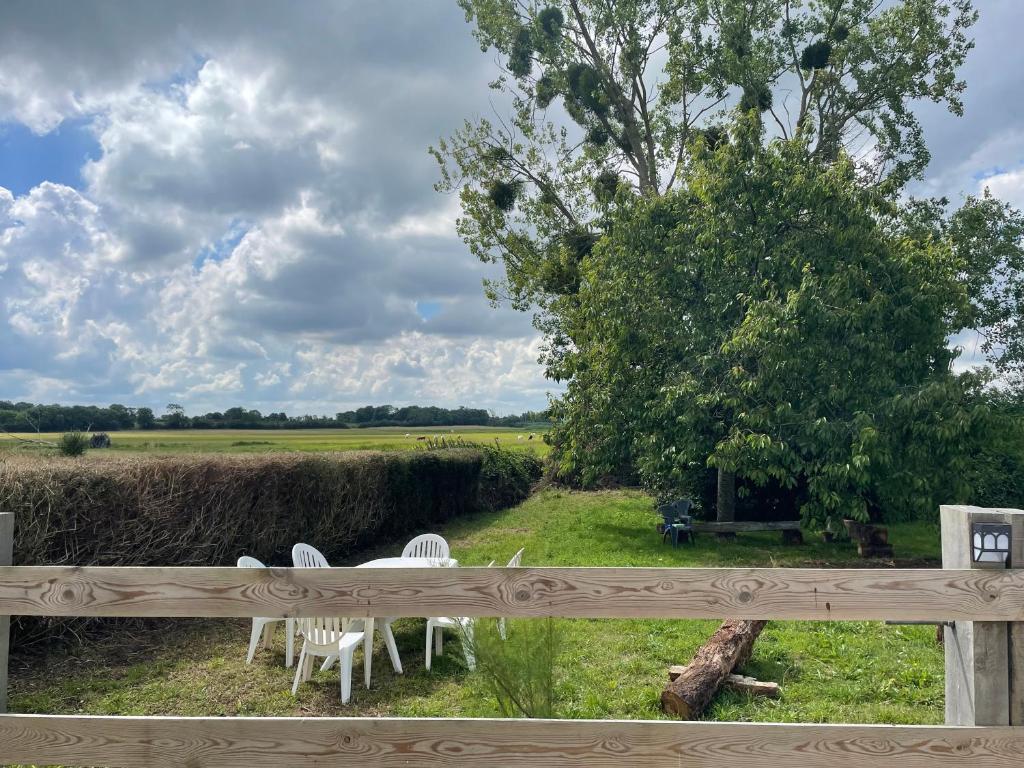 - une table et des chaises sur une terrasse couverte avec un arbre dans l'établissement Gîte du Cerisier, à Liesville-sur-Douve