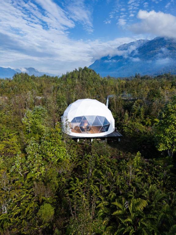 an object in the middle of a field of trees at Refugio Volcán Hornopiren in Hornopiren