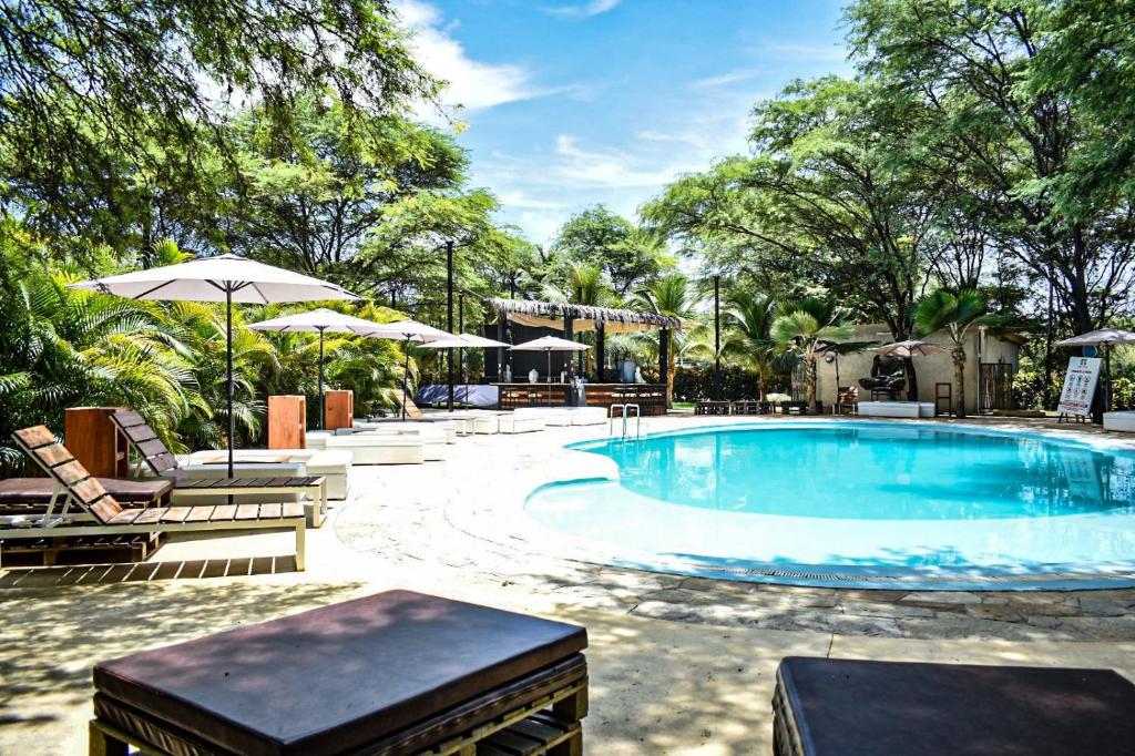 Bazén v ubytování Club Porta Verde Glamping y Domos nebo v jeho okolí