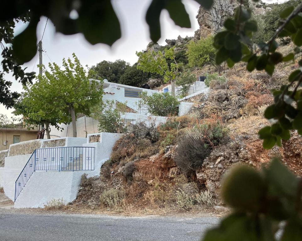 Naturlandskabet i nærheden af lejligheden