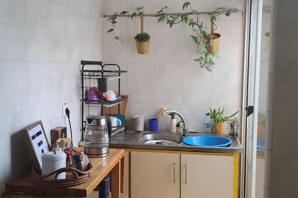 Kuchyň nebo kuchyňský kout v ubytování Mendes Family Homestay - B&B In The Heart Of Praia