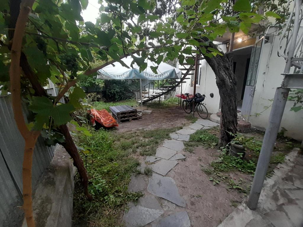 Zahrada ubytování HOTEL LukaRabati