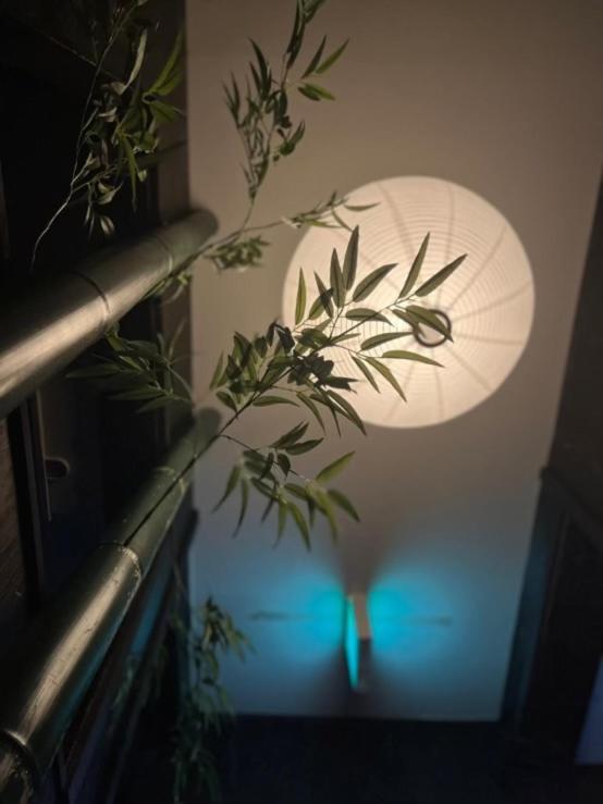 a lamp with a blue light next to a plant at Hotel粋 in Hakodate