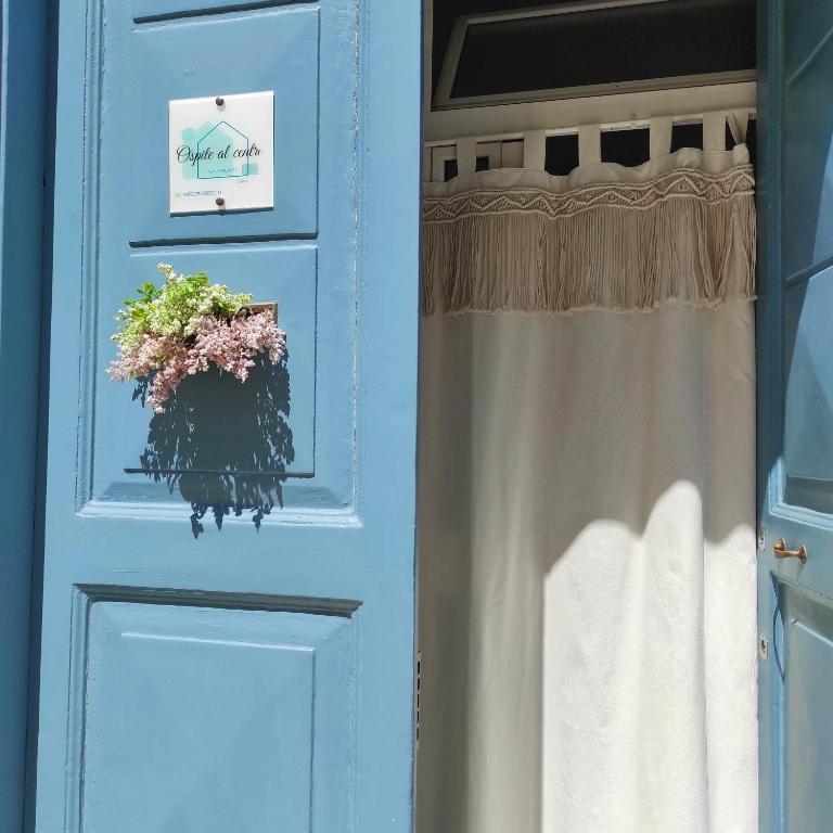 a door with a window with a flower pot on it at Ospite al centro in Molfetta