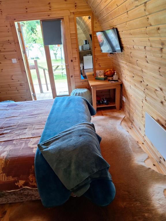 TV o dispositivi per l'intrattenimento presso Log cabin