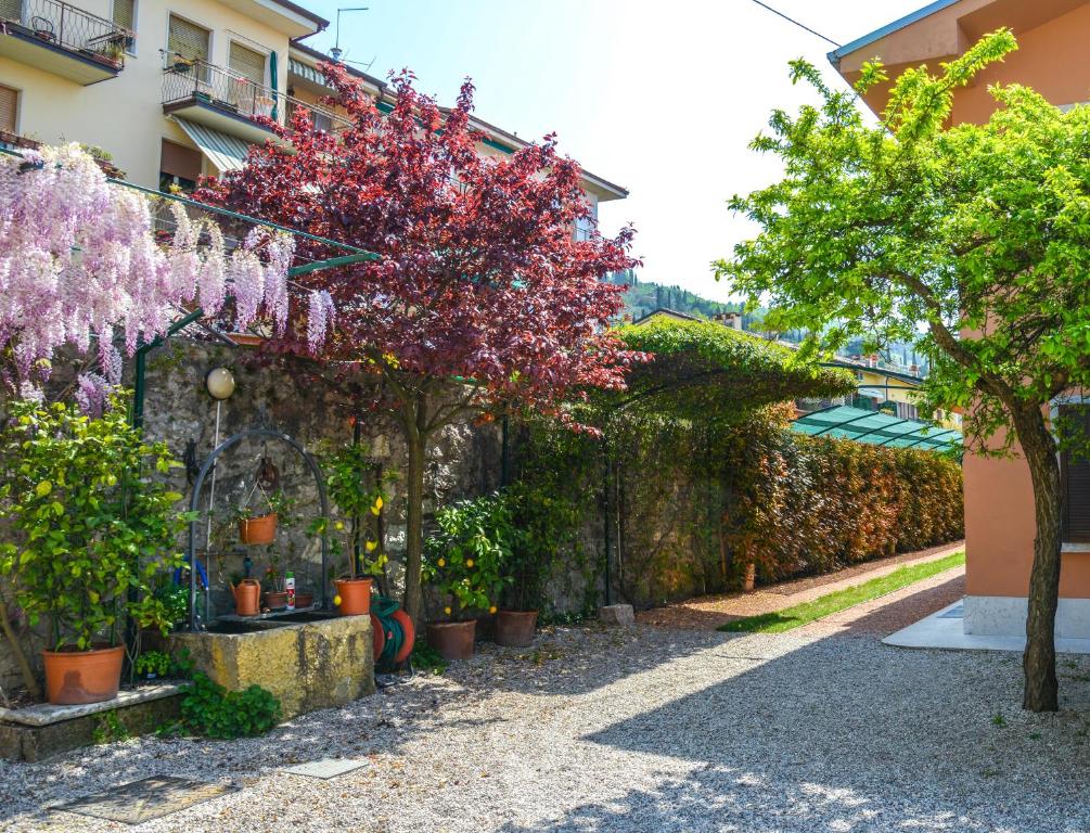 Zahrada ubytování Garni Onda