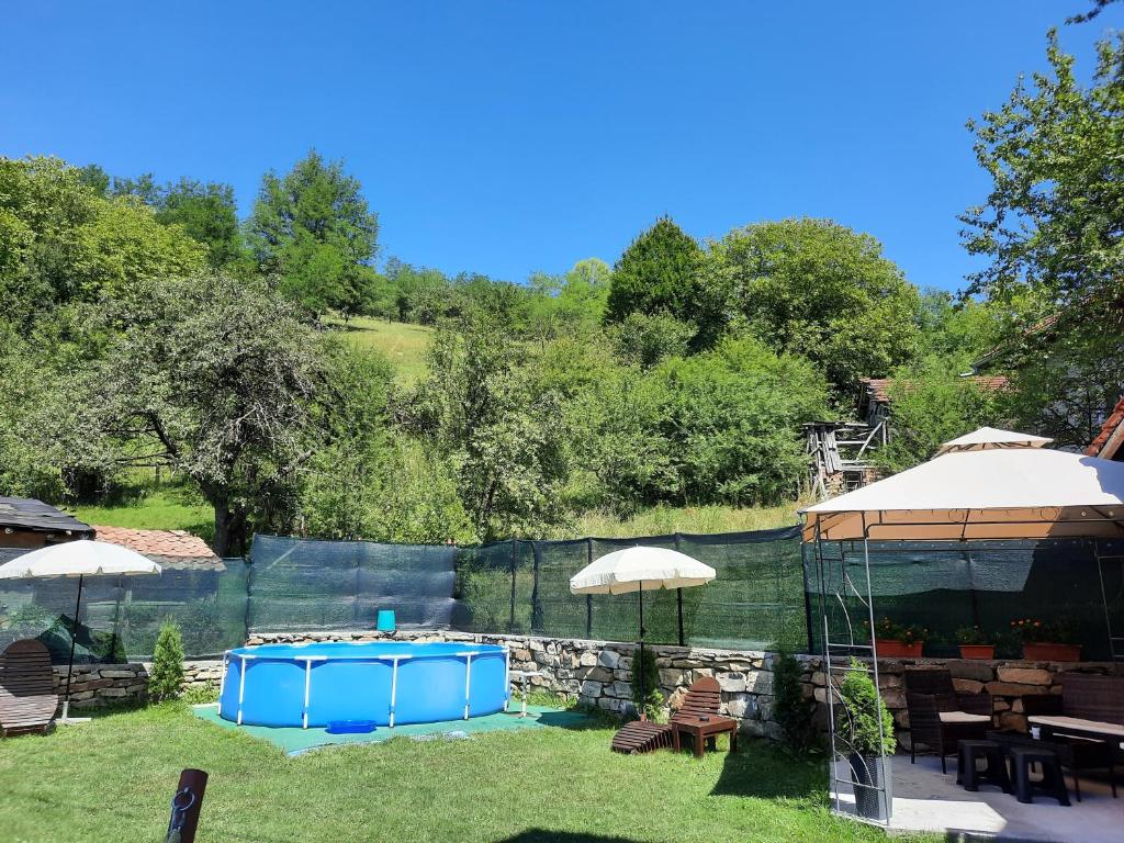 Zahrada ubytování Guest House Lazar Raykov