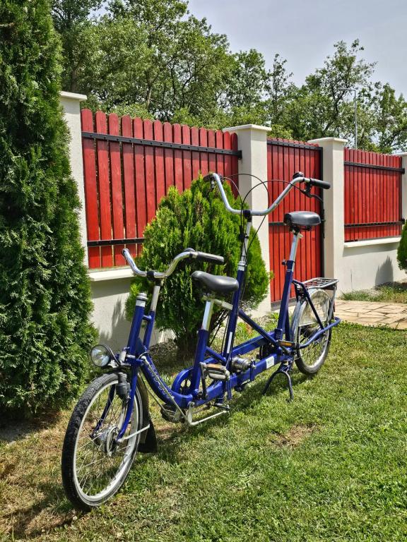 Jízda na kole v ubytování Pensiunea Nobila Băile Figa nebo okolí