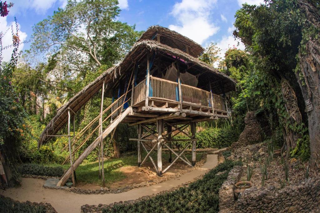 Zahrada ubytování Chole Mjini Treehouses Lodge