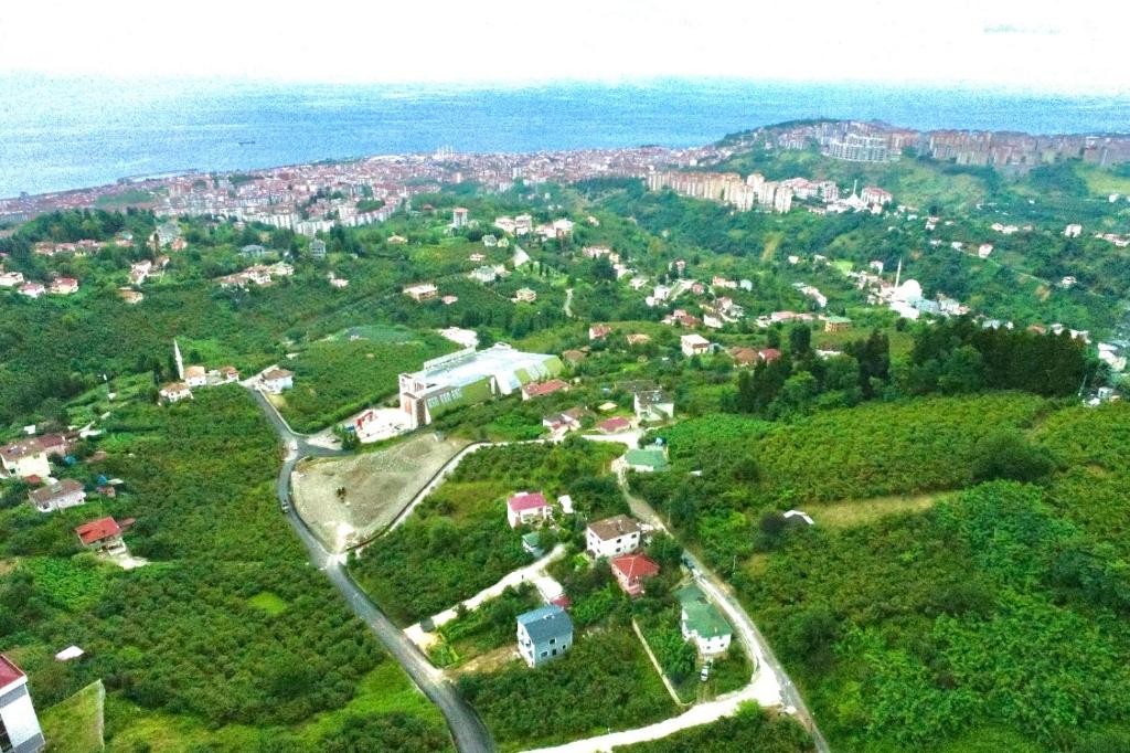 Příroda nedaleko prázdninového domu