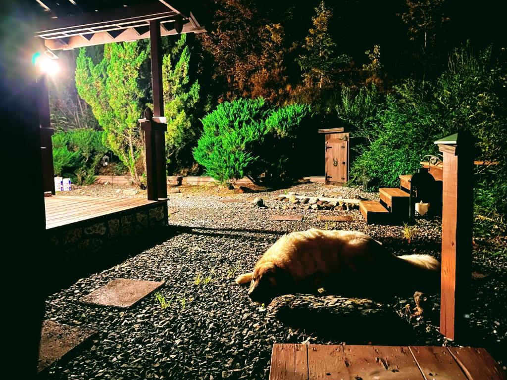 Zahrada ubytování Tiny House, WIFI,Hot tub,Secluded