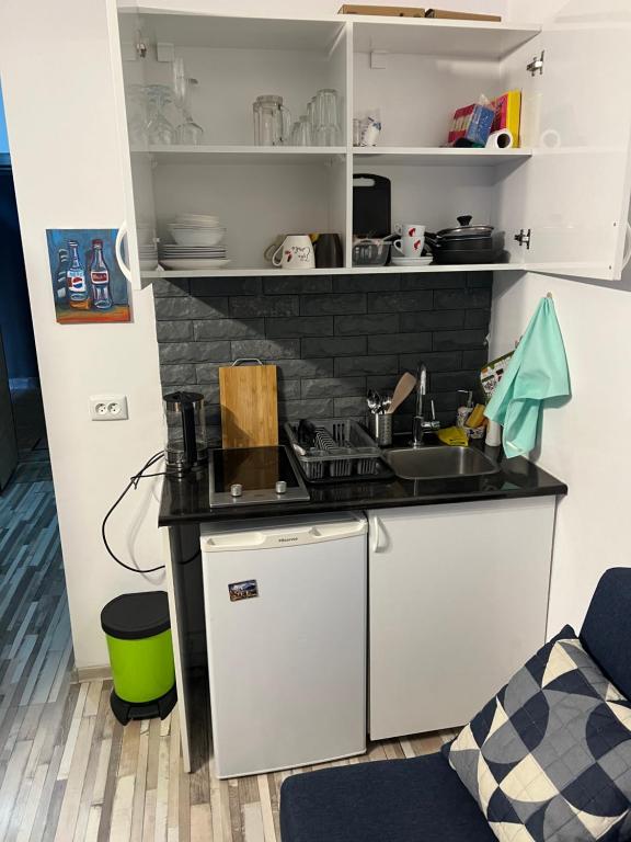 Kuchyň nebo kuchyňský kout v ubytování Gudauri loft Apartment 509