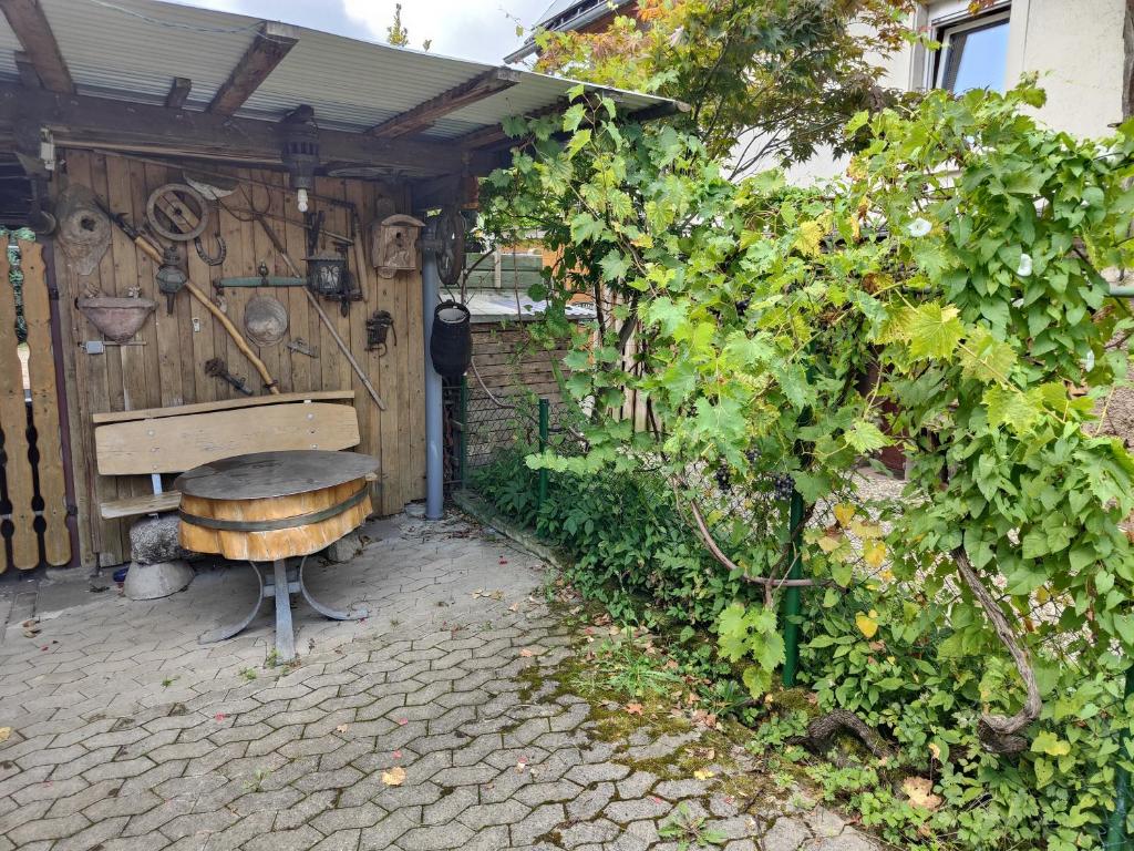 Zahrada ubytování Gästehaus Retsch