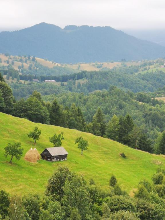 Příroda nedaleko luxury tent