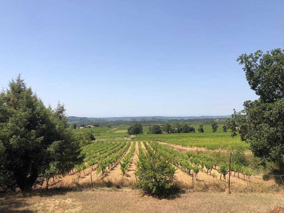 une vue sur un champ planté d'arbres au premier plan dans l'établissement Maison paisible cœur du Ventoux, à Puyméras
