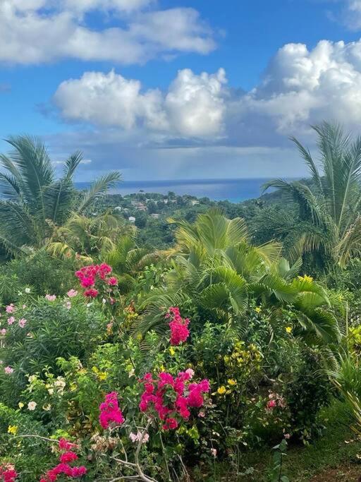 un campo de flores con palmeras en el fondo en Home Song, en Calibishie