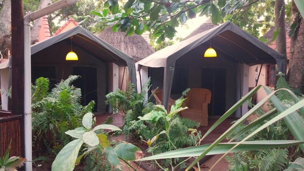 Zahrada ubytování Devocean Eco Adventure Lodge