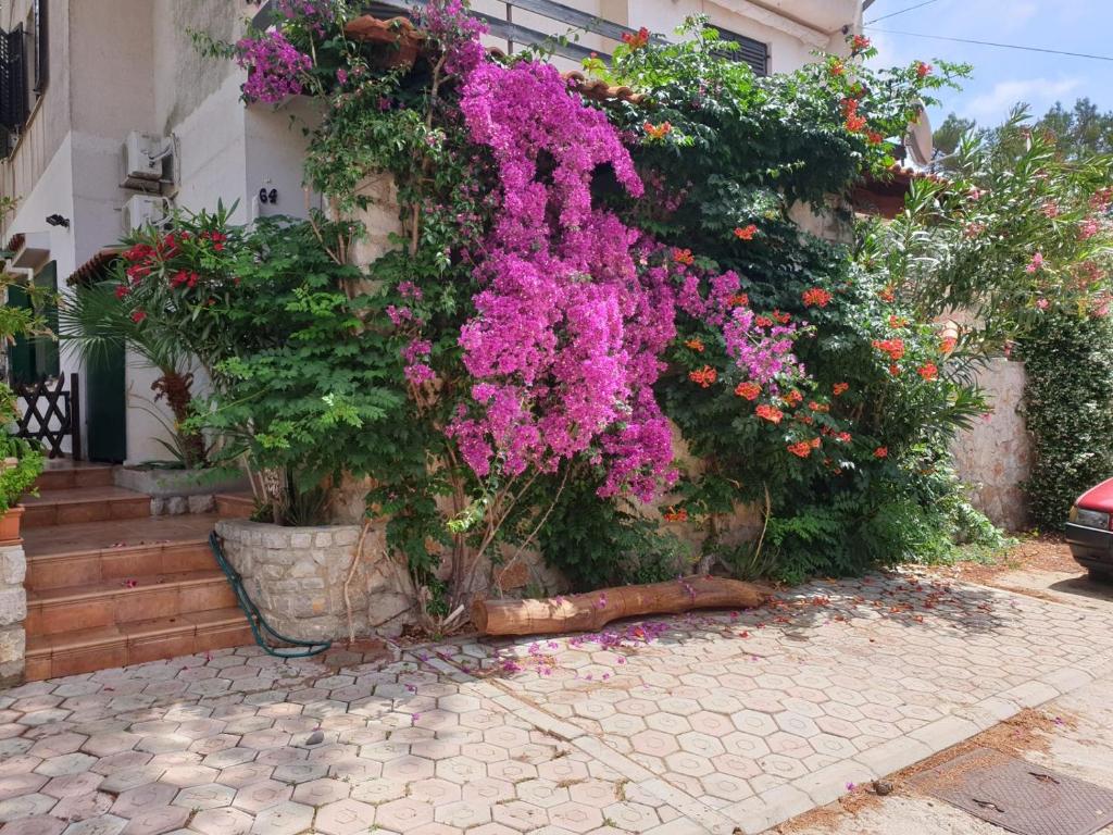 Fotografia z galérie ubytovania Apartment for max 7 pers in Mali Losinj with terrace, air conditioning, WiFi, washing machine 4913-3 v Mali Lošinj