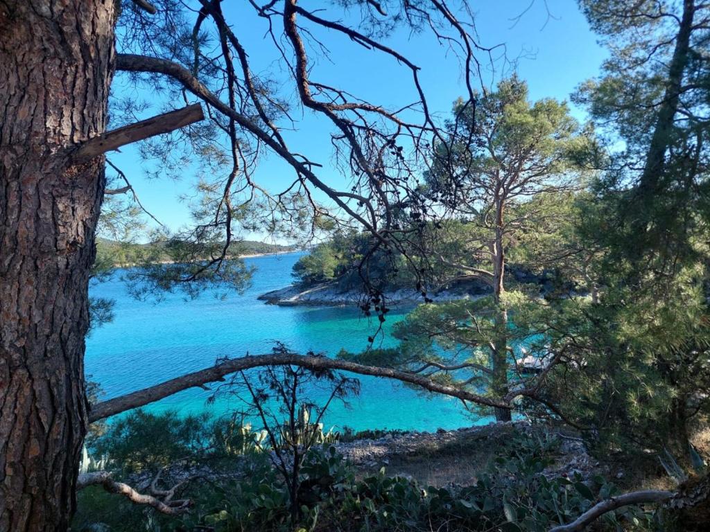 Apartment in Mali Losinj with terrace, air conditioning, WiFi, washing machine 4913-1