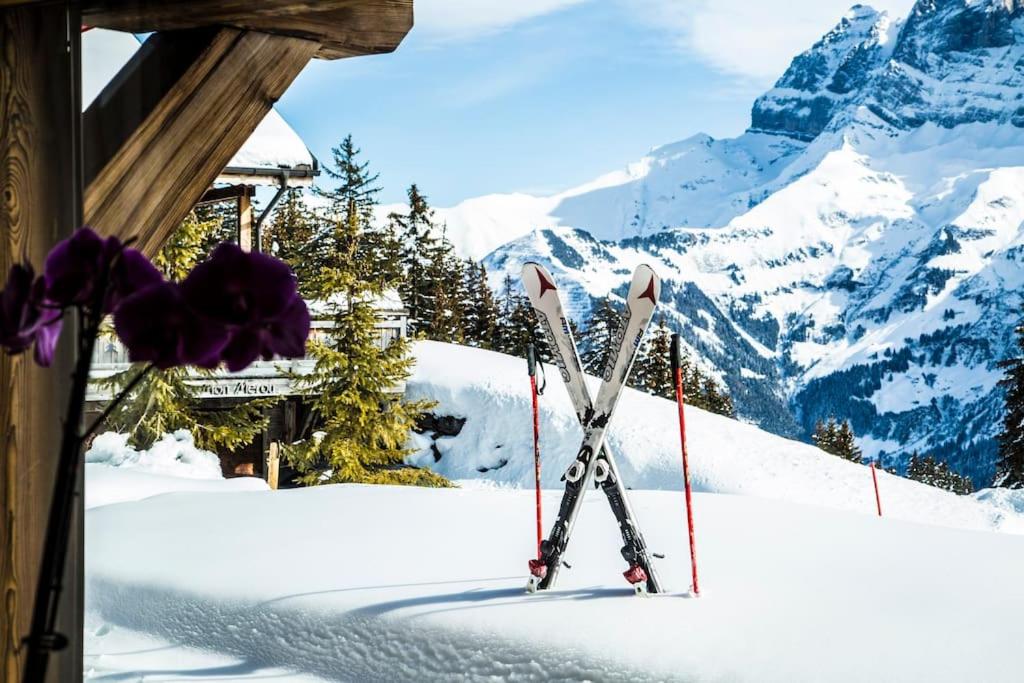 Big luxury Chalet with amazing view v zimě