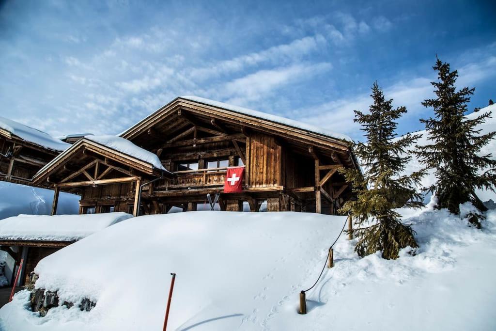Big luxury Chalet with amazing view v zimě