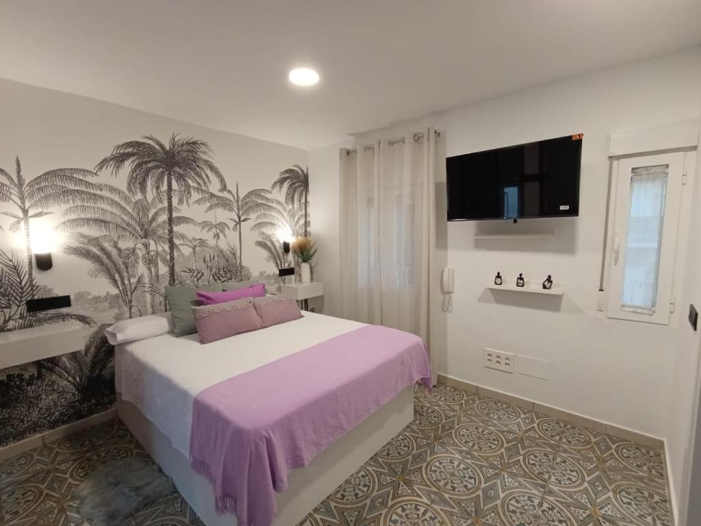 タラベラ・デ・ラ・レイナにあるEstudio The Room Tres Ochoの大きなベッドとテレビのある寝室