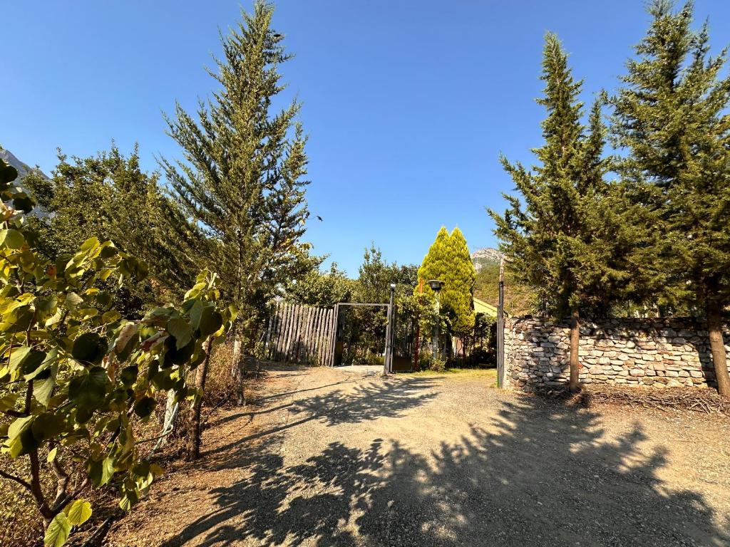 Zahrada ubytování Lakeview Escape Koman