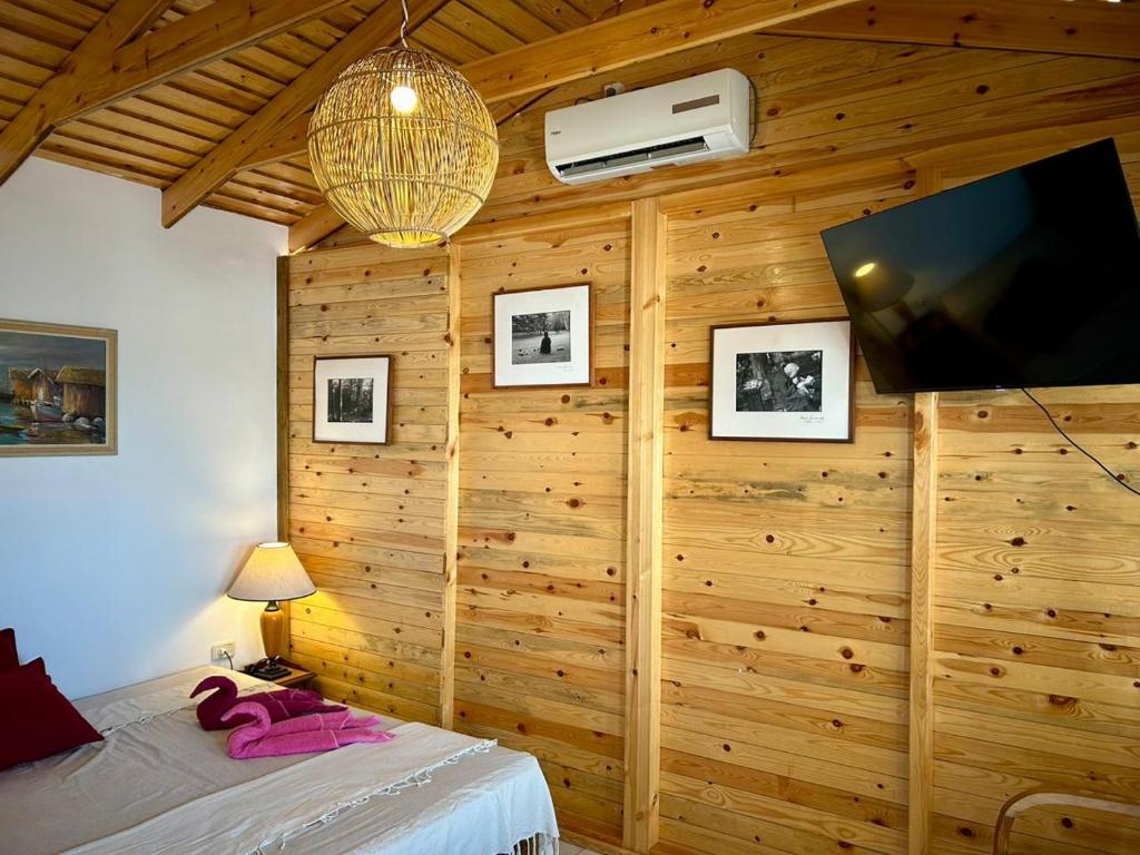 TV a/nebo společenská místnost v ubytování L'artisan