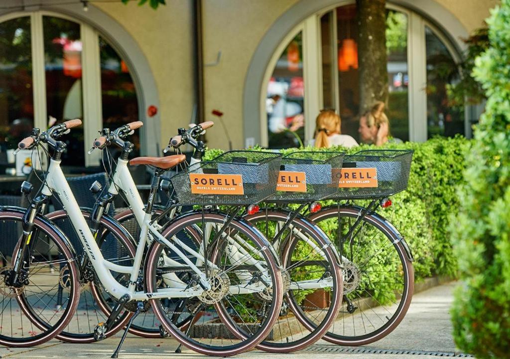 Jízda na kole v ubytování Boutique Hotel Krone nebo okolí