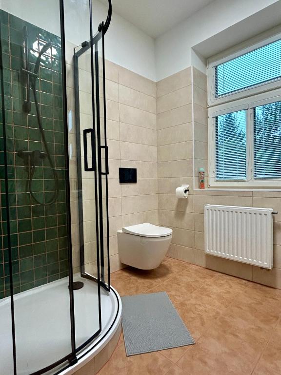 Koupelna v ubytování Vila Silva Karlova Studánka