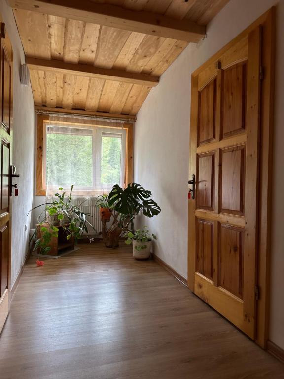 Fotografie z fotogalerie ubytování Plai v destinaci Drahobrat