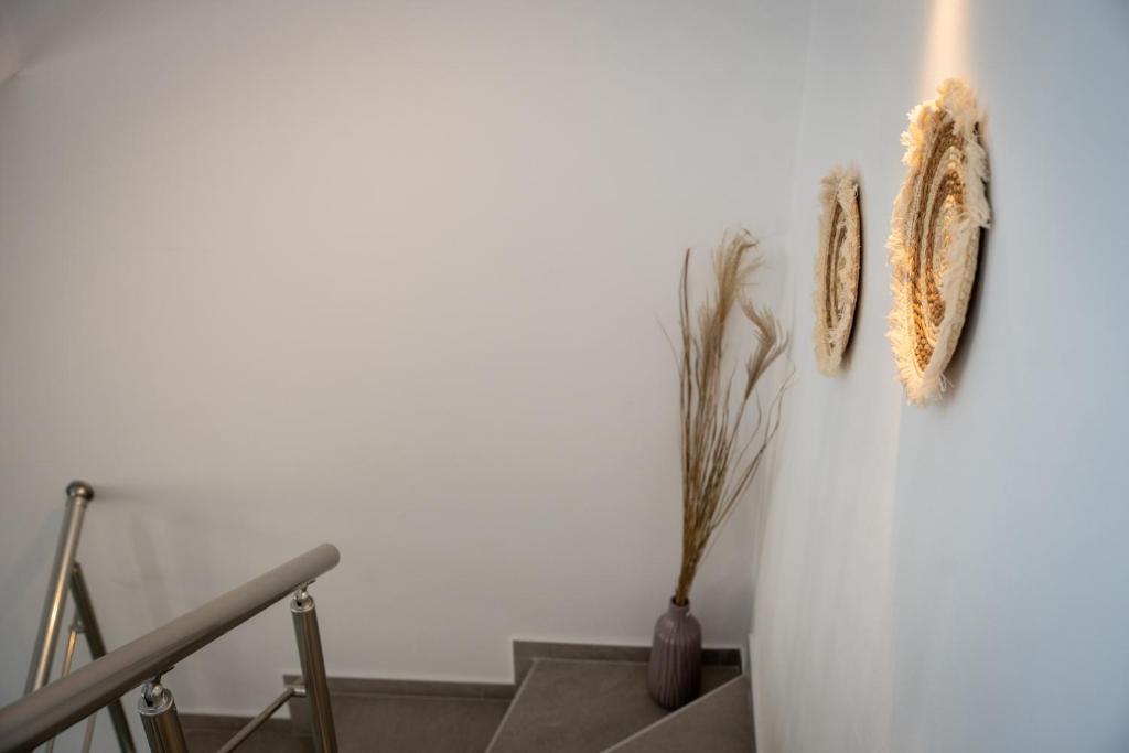 Fotografie z fotogalerie ubytování Mint&Melon v destinaci Glinado Naxos
