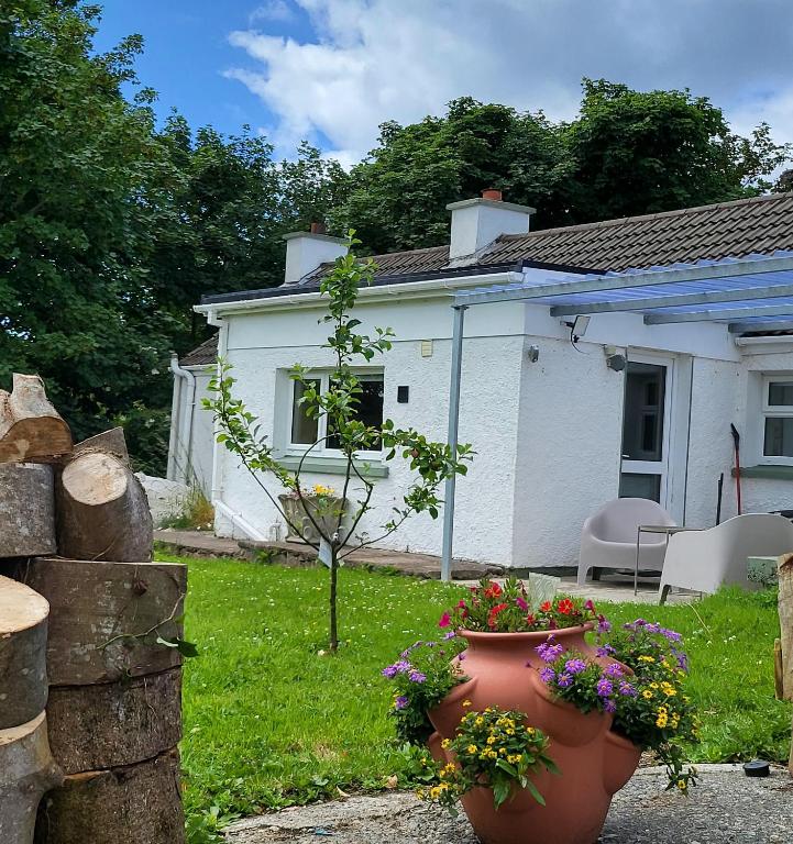Κήπος έξω από το Lake lodging Dungloe 1 mile from Dungloe, 2bdrm max3 adults