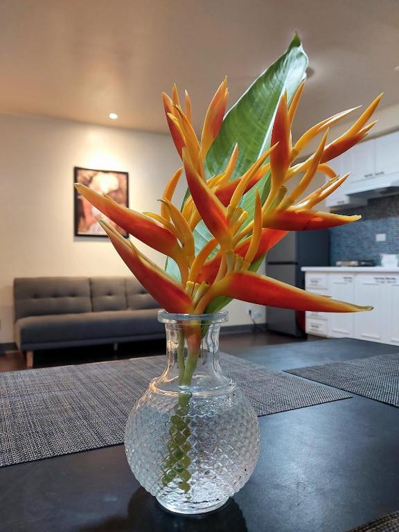 Fotografie z fotogalerie ubytování Sensi Stay Saipan v Garapanu