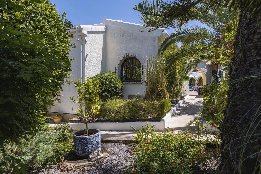 Zahrada ubytování Villa Pakatoa