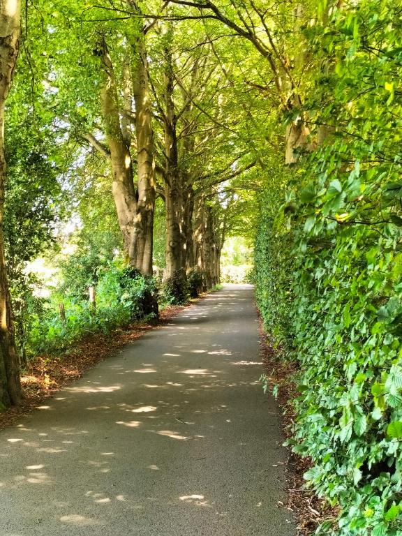 Zahrada ubytování Les Adrets de Malmedy