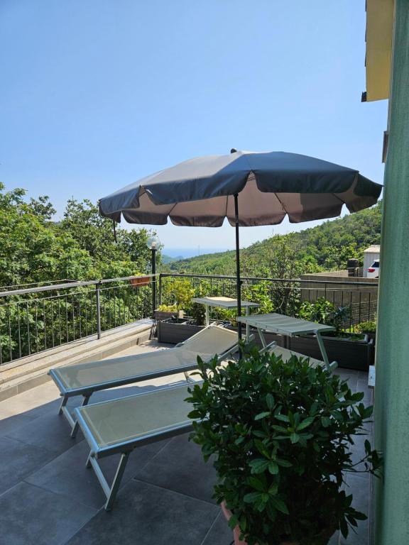 Paesaggio naturale nelle vicinanze della casa vacanze
