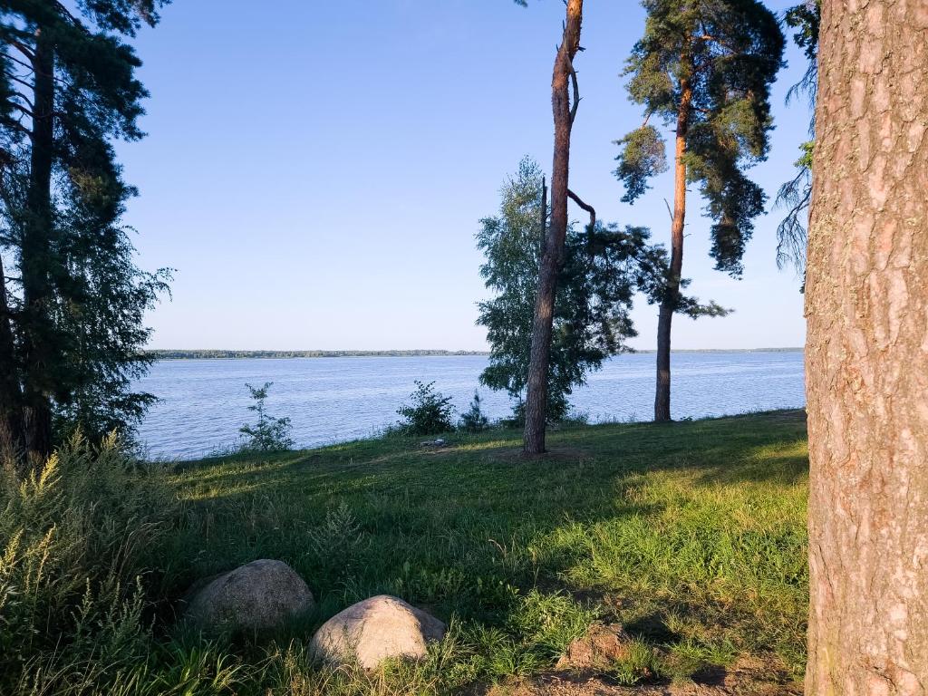 Príroda v okolí privátu