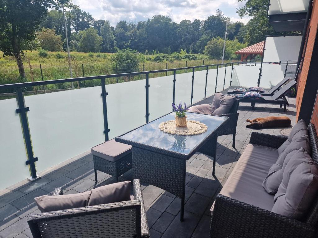 Apartament Słoneczny Taras nad Baryczą - Appartement à Deux Chambres