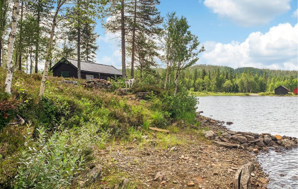 eine Hütte am Ufer eines Sees in der Unterkunft Awesome Home In Namsskogan in Namsskogan