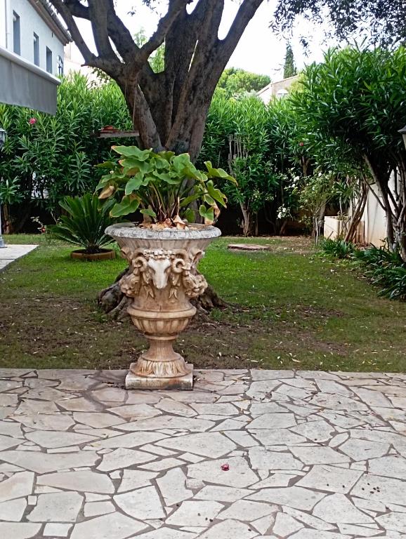 un grand vase en pierre avec une plante dans une cour dans l'établissement Baddha Konasana, à Agde