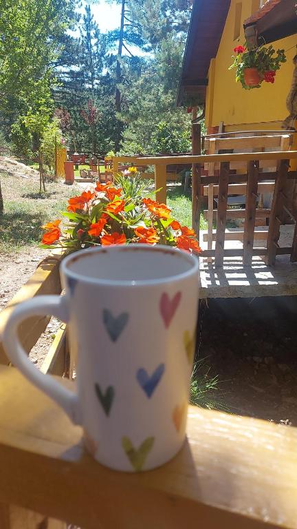 Φωτογραφία από το άλμπουμ του Planinska kuca Lunjo & Vuk στο Ζλάτιμπορ