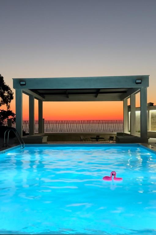 a swimming pool with a swan in the water at Villa Sunlight in Gonio